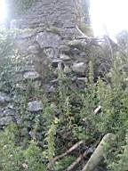 bellanamullia - 1140.JPG